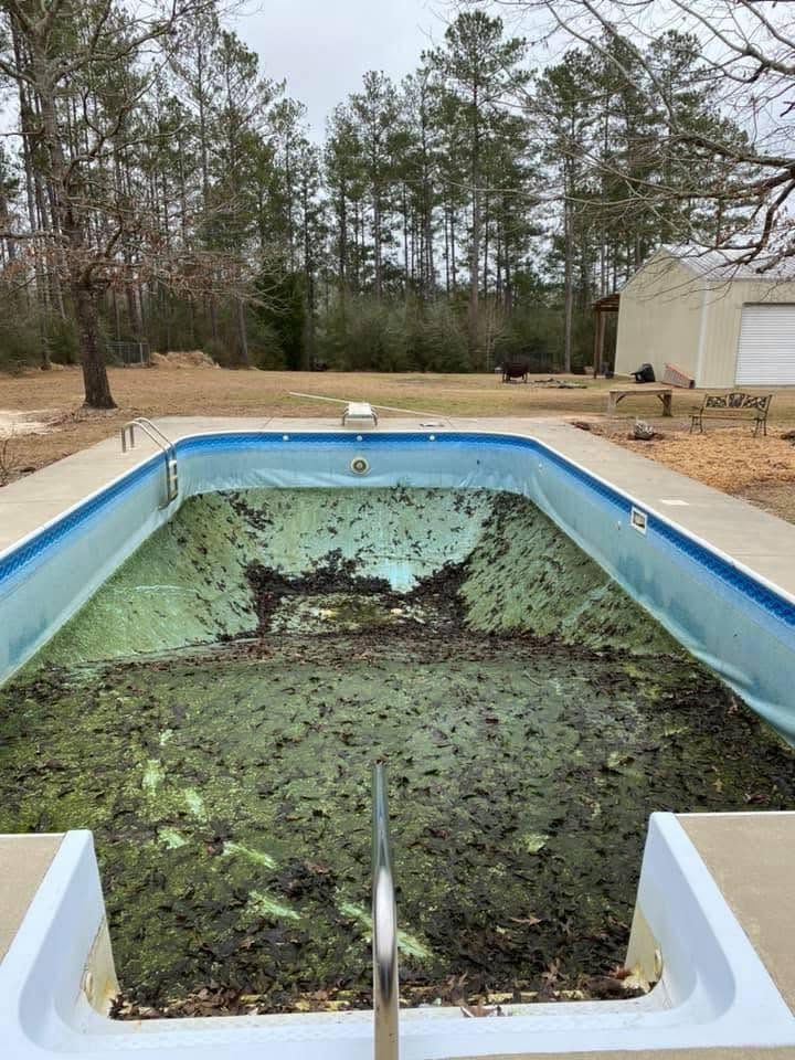 A neglected in-ground pool full of dark green water and leaves before work began